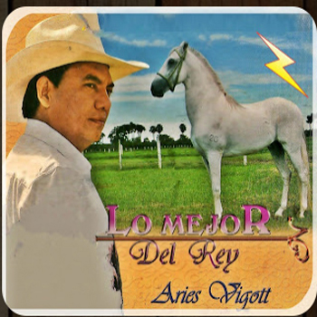 Aries Vigoth - lo mejor del Rey